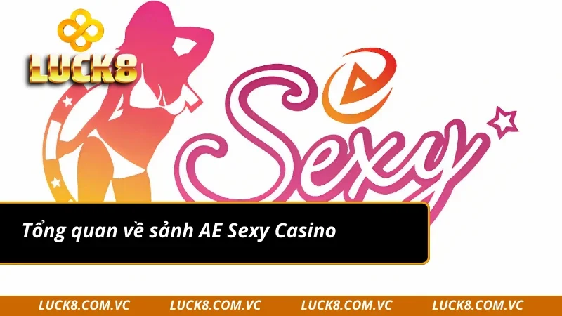 Hiểu rõ về sảnh AE Sexy Casino tại Luck8